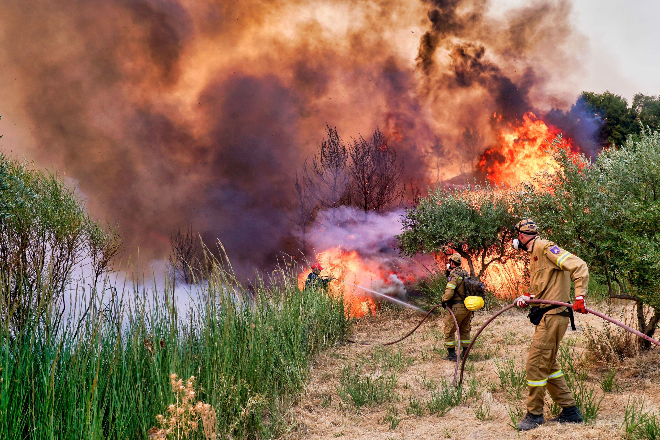 Photo of green vegetation on fire with two firefighters trying to extinguish it with water