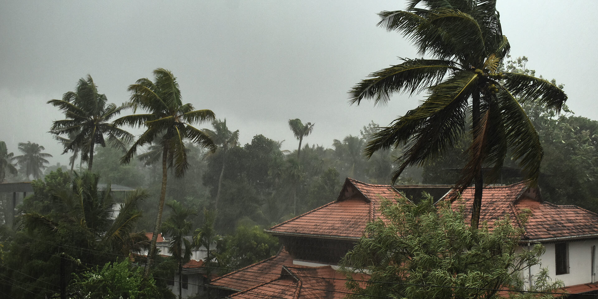 Heavy rainfall on palm trees and houses