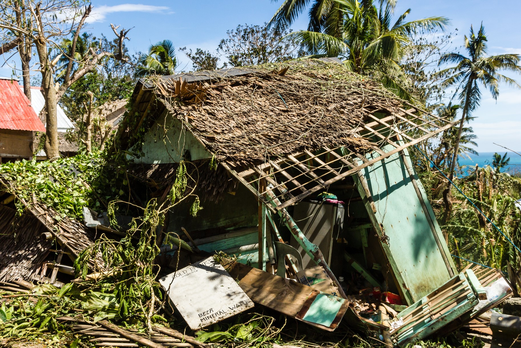 A photo of a wooden shack destroyed by Typhoon Haiyan in the Philippines with palm trees n the background