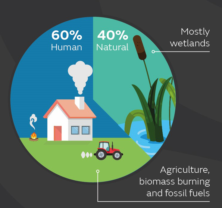 Pie chart showing methane emissions - 60% are from human activity, including agriculture, biomass burning and fossil fuels. The remaining 40% are naturally occurring, with most of this coming from wetlands.