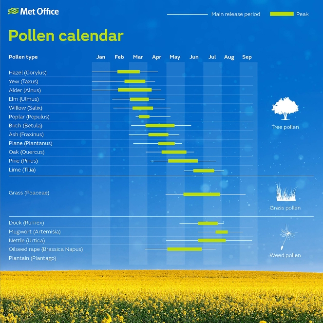 Hay Fever Season Chart