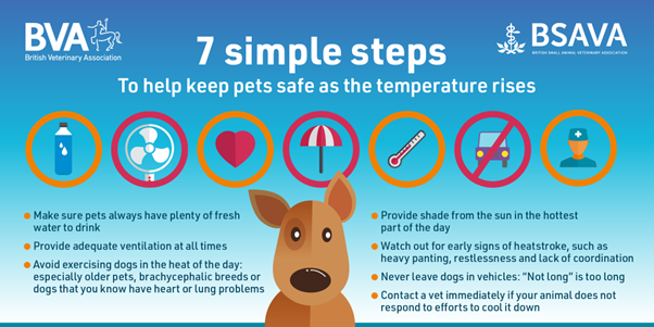 7 simple steps to help keep pets safe as the temperature rises