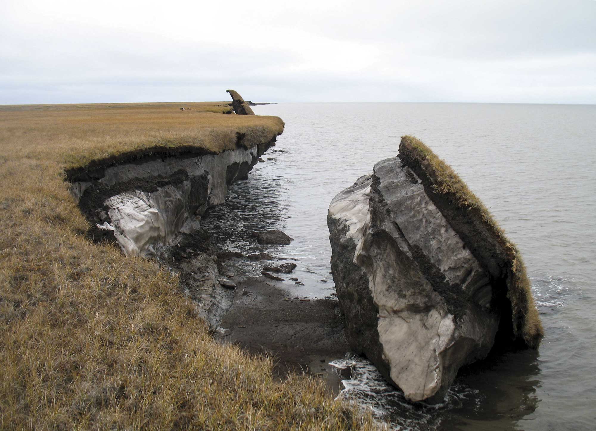 Photograph showing collapsed coastline in Alaska, revealing a layer of frozen permafrost with a darker active layer above, topped by grass.