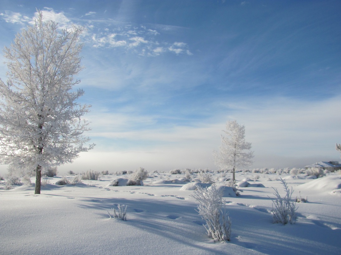 Wintry landscape with heavy snow