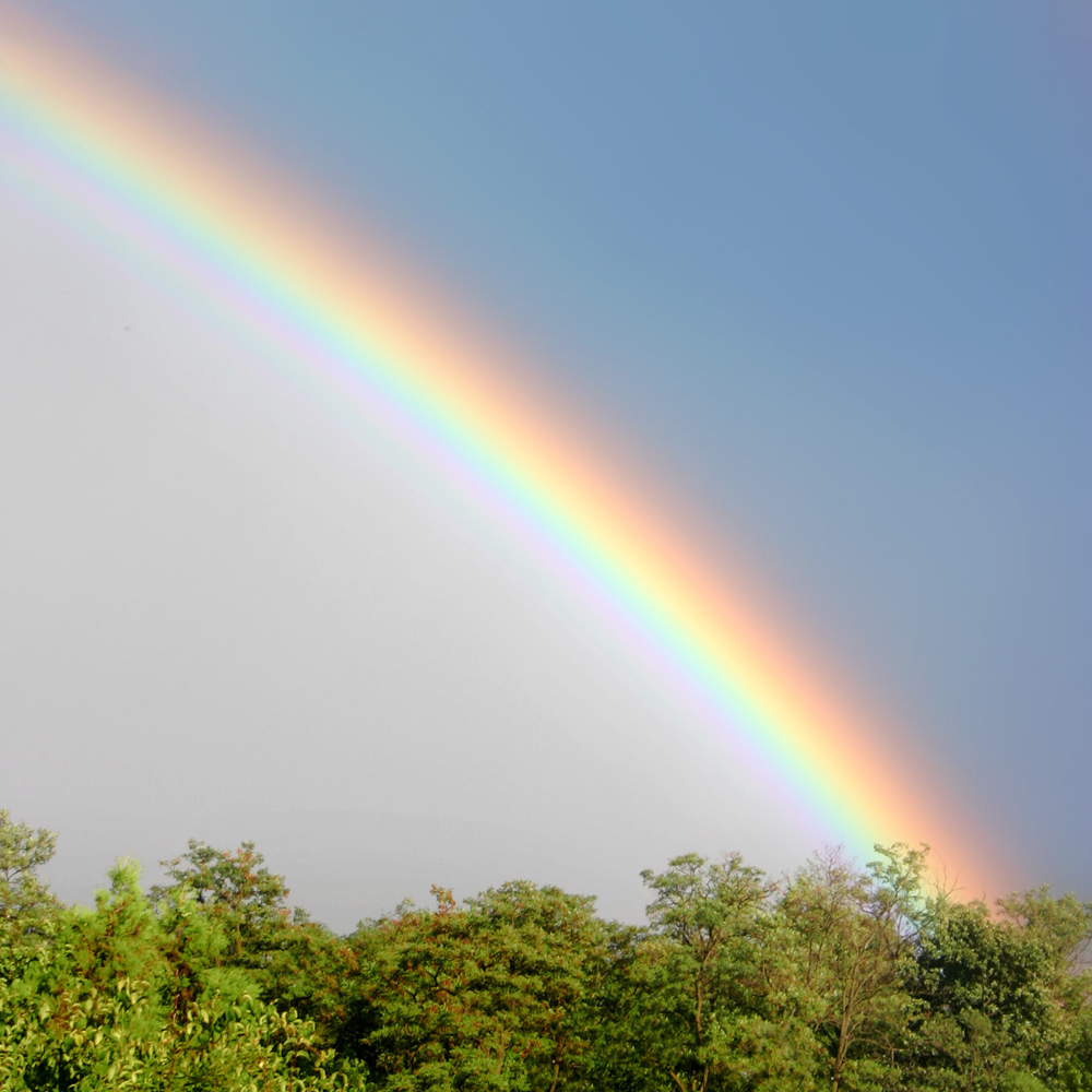 How are rainbows formed from sunlight and water?