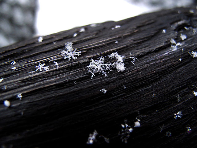 Snowflake against a dark backdrop. The snowflake looks white but is actually translucent.