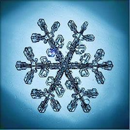 Dendrite snowflake, with tree-like branching structures