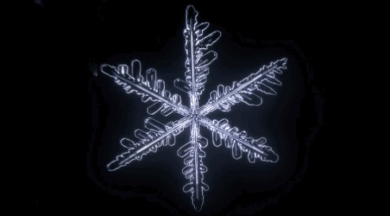 Snowflake