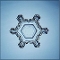 Sector plate snowflake, similar to the thin plate but with a more hexagonal, star-like shape
